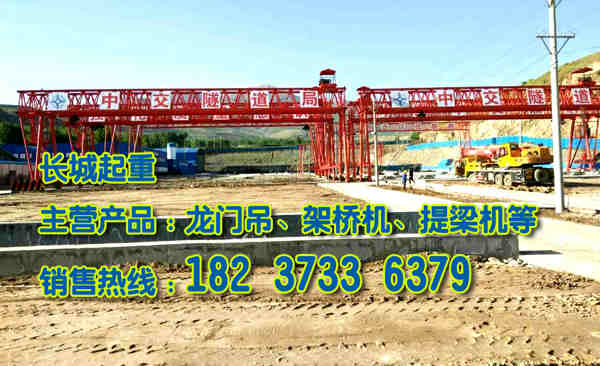 湖南株洲門式起重機廠家